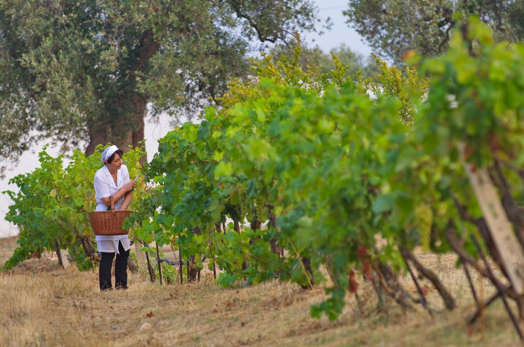 Masseria Il Frantoio Ostuni Kültér fotó