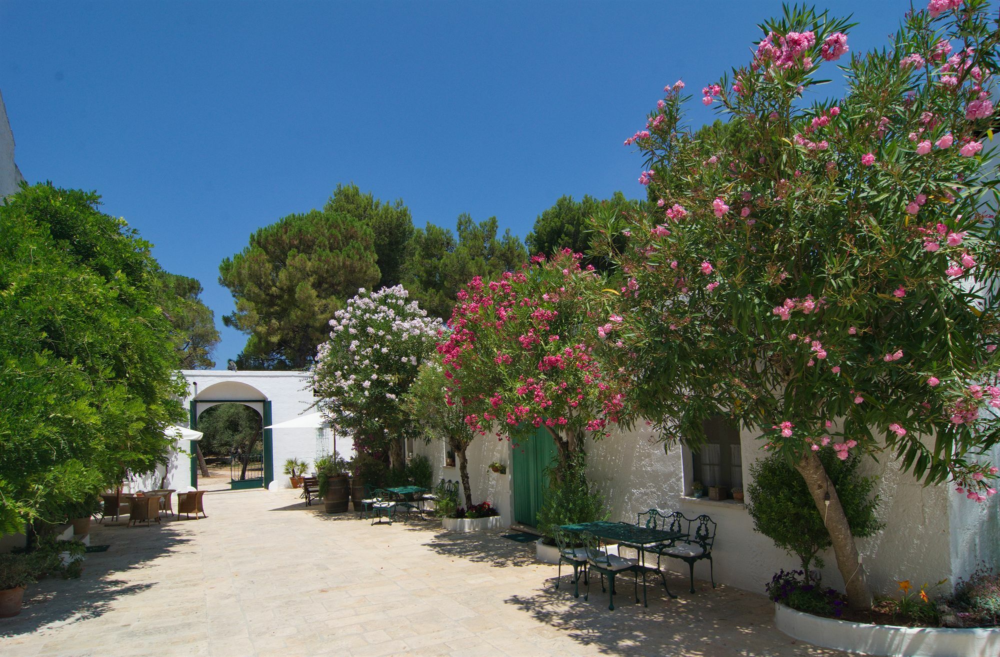 Masseria Il Frantoio Ostuni Kültér fotó