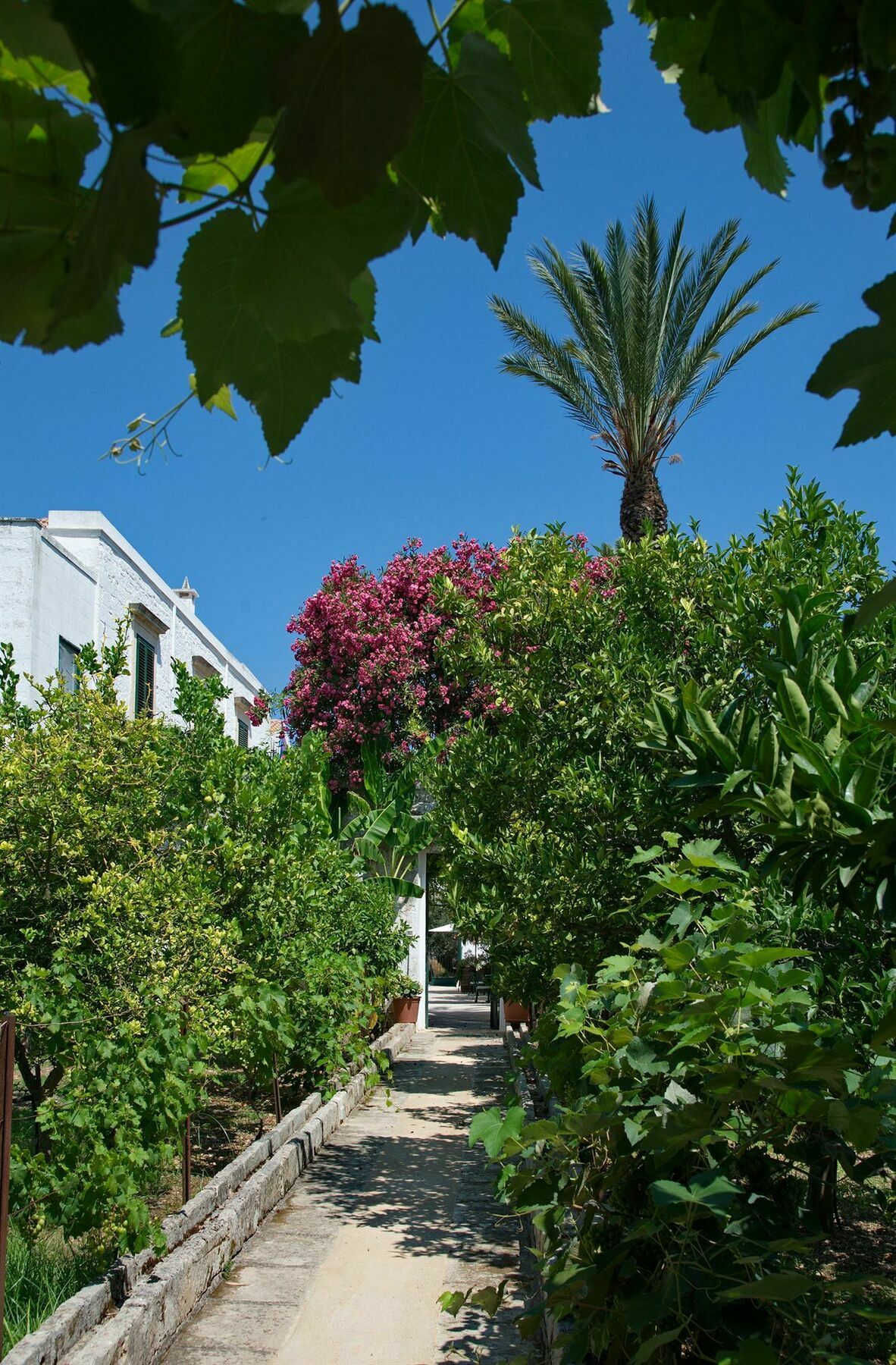 Masseria Il Frantoio Ostuni Kültér fotó